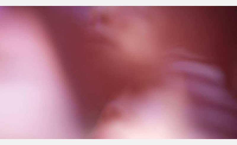 Charles Lim, One Day I Forgot and Used My Hands (2010)